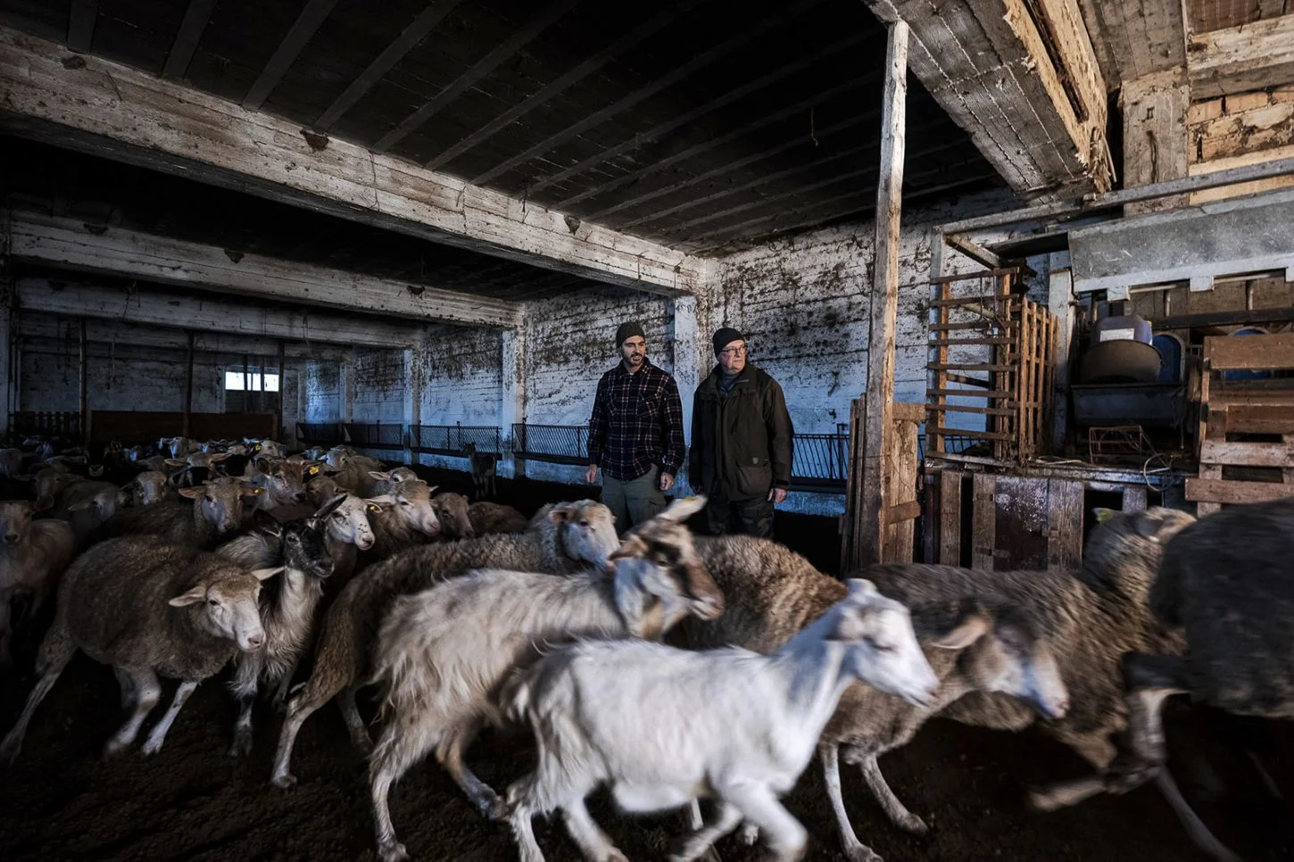 L'Azienda agricola